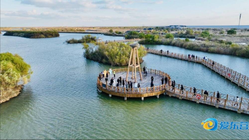 一则令人捧 一则令人捧